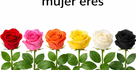 5b05f64d e115 4bfe b58d 0be8b0d197b9 768x1152