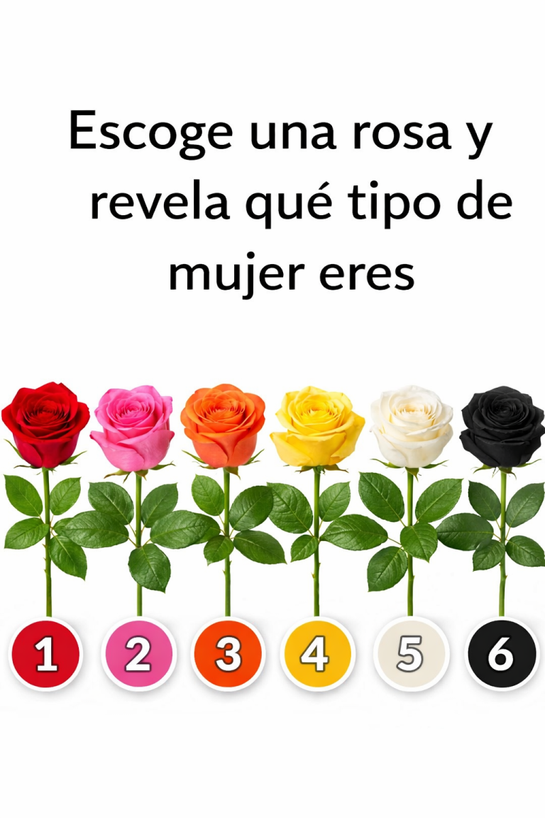 5b05f64d e115 4bfe b58d 0be8b0d197b9 768x1152