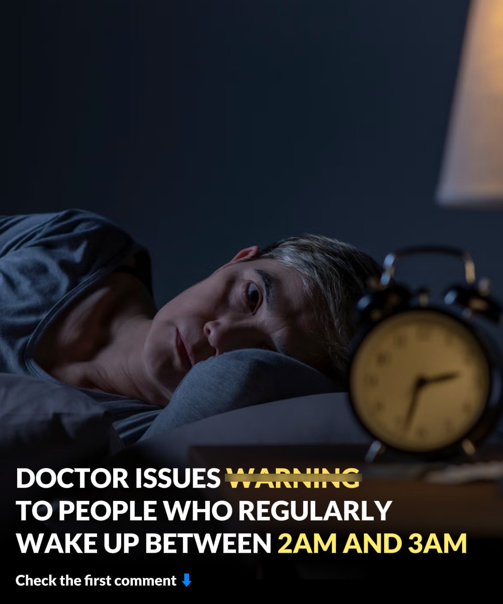 606883347 1432730224912339 2129042311771929071 n (1)