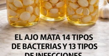 612036389 921997143850637 5421287067132221536 n 768x1152