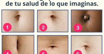 621697928 1450890499939821 6505098068508195014 n 768x971