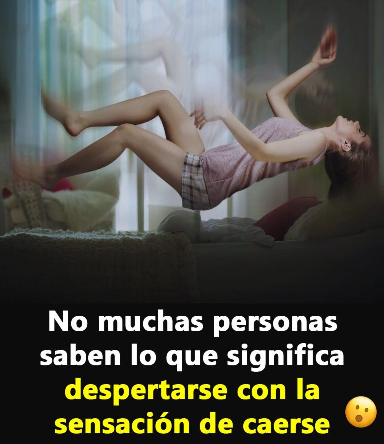 626771512 1458679395619321 1437195567540685209 n 768x889