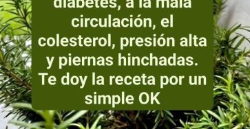 626827048 1443184357201666 3263056077671483340 n