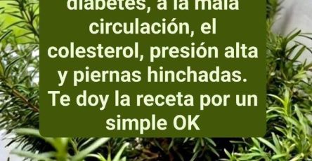 626827048 1443184357201666 3263056077671483340 n