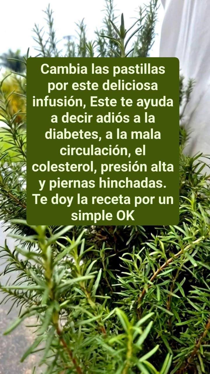 626827048 1443184357201666 3263056077671483340 n