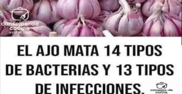 627864222 1211608097753764 7116880199260411825 n 768x768