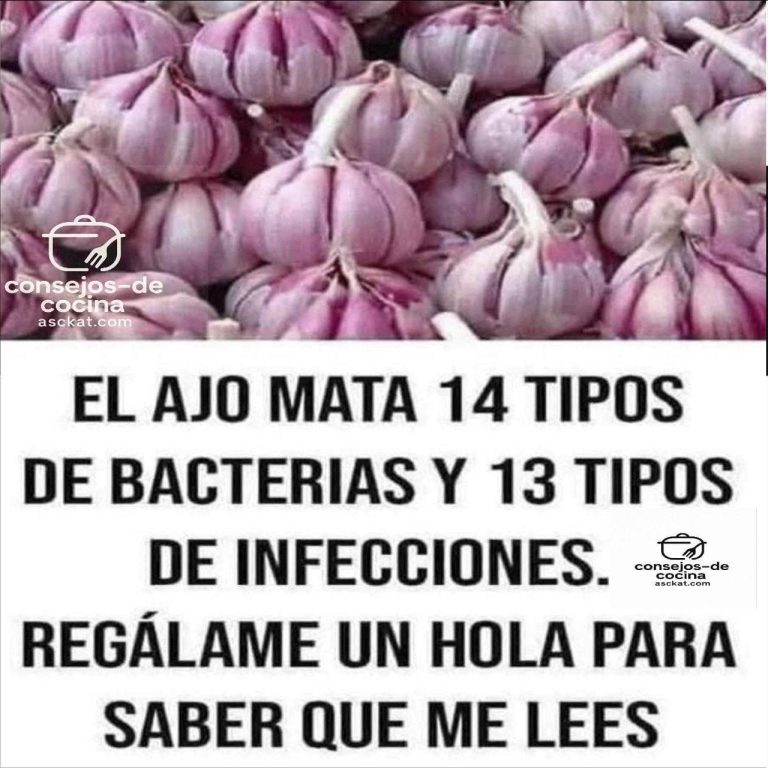 627864222 1211608097753764 7116880199260411825 n 768x768