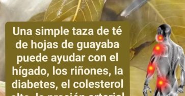 628050373 1660548861981022 3714108125634563278 n 768x960