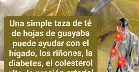 628050373 1660548861981022 3714108125634563278 n 768x960