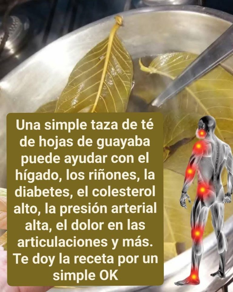 628050373 1660548861981022 3714108125634563278 n 768x960