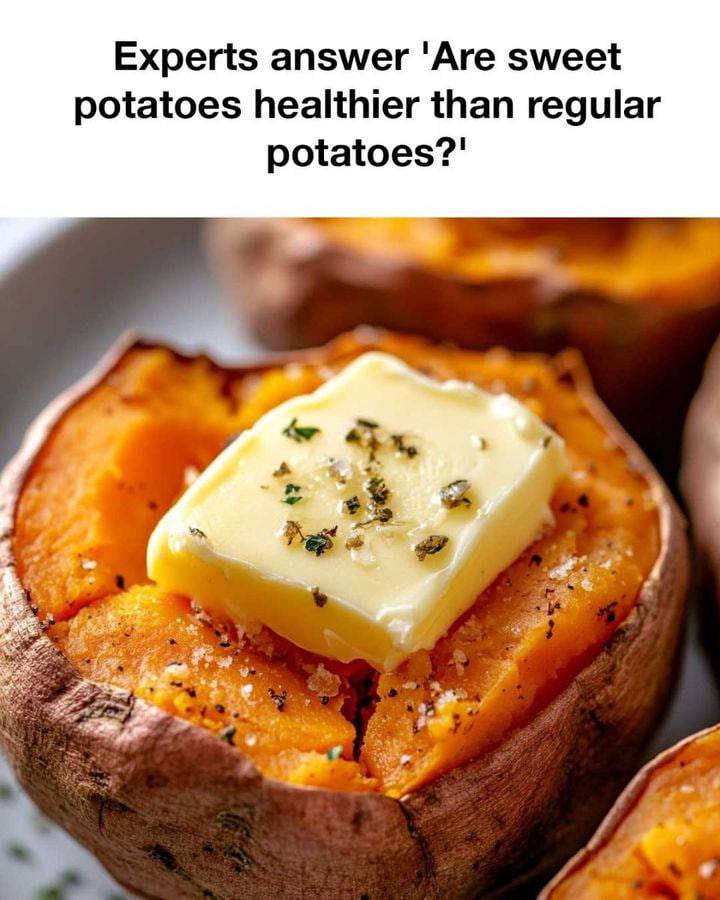 629911316 2331255197355514 6995553627011993404 n