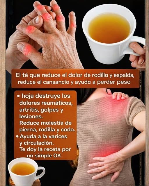 630973592 906559178690363 7008917638826450492 n