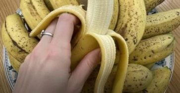 631975781 122112348381172030 1244127719999953098 n 768x960