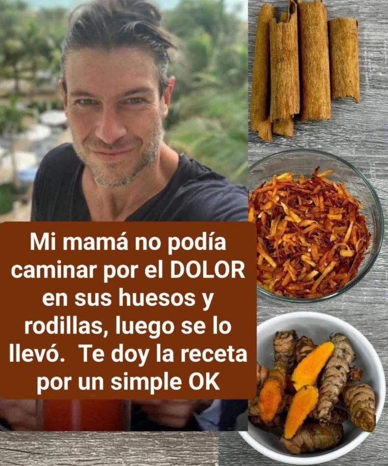 633883907 1664537561582152 8201740668580481176 n 768x922