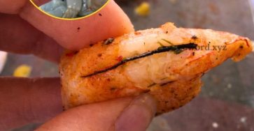 633902436 122247891398150716 8103113322019159399 n 768x960