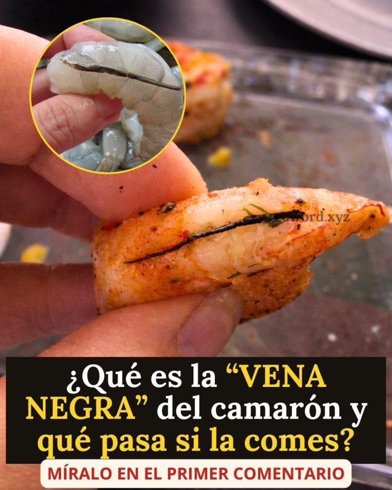 633902436 122247891398150716 8103113322019159399 n 768x960