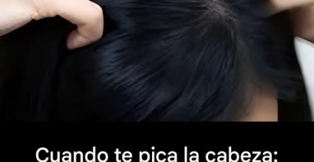 634847298 938465058687865 7041438621720672302 n