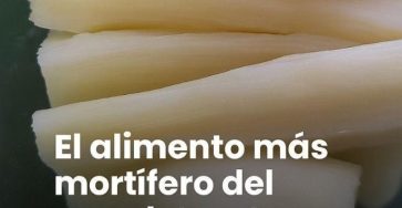 635138963 1730462861247240 376299628939427116 n 768x1152