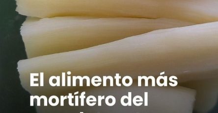 635138963 1730462861247240 376299628939427116 n 768x1152