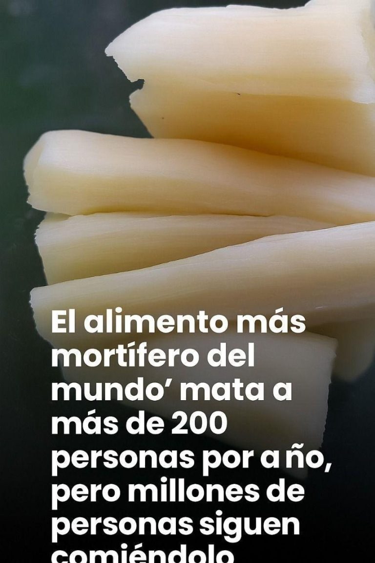 635138963 1730462861247240 376299628939427116 n 768x1152