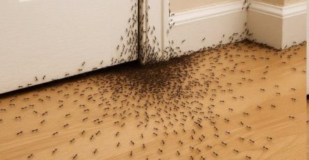 636921029 858996410428554 3200128584345207510 n