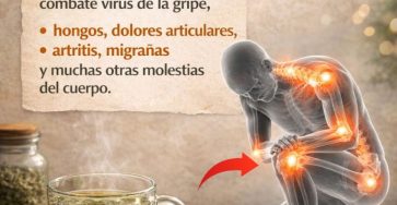 637701565 122155220780943773 1240188713178508218 n 768x960