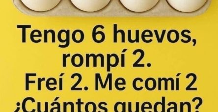 638068495 940249665154232 2877112701238690187 n 734x1024