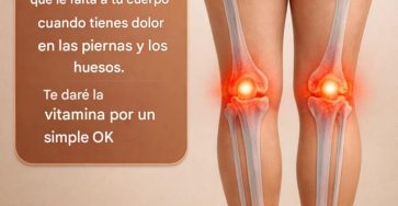 641422032 2113581579478432 1216532729190255690 n 1 768x960