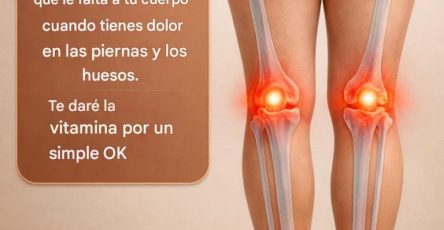 641422032 2113581579478432 1216532729190255690 n 1 768x960