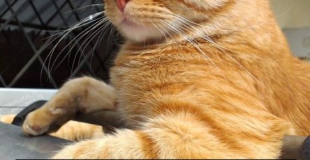 642849354 1476397944055743 2597881106577360690 n 768x960