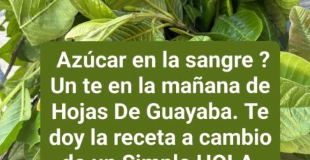 643459702 122295823442202596 2063522594646463198 n 768x1024