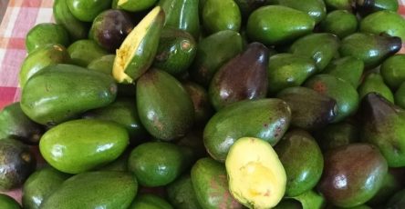 643568476 1978285896449455 4956528953989605380 n 758x1024