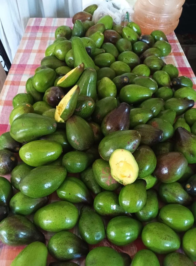 643568476 1978285896449455 4956528953989605380 n 758x1024