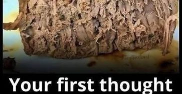 643885085 1842621236396897 5457957432479904062 n