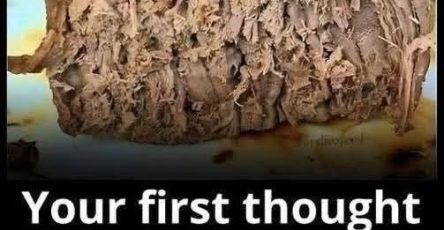 643885085 1842621236396897 5457957432479904062 n