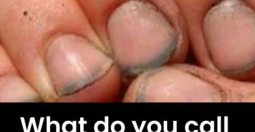 644247220 122204712608334315 3970036818188009982 n