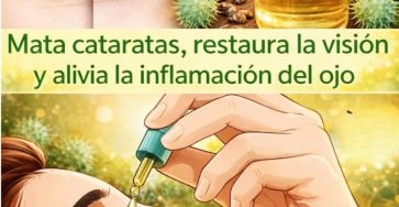 644553354 1489145869438784 6996050304585083361 n 768x960