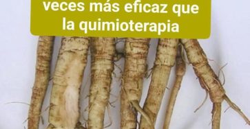 644924668 1474226887831652 2176005672141347326 n 768x960