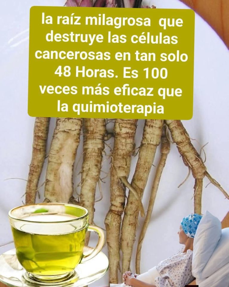 644924668 1474226887831652 2176005672141347326 n 768x960