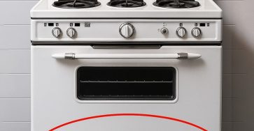 645192958 122205299174334315 7128876157764352464 n