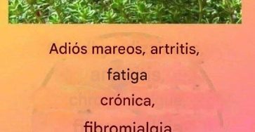 645220007 122307983618027936 8157542588799601163 n