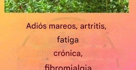 645220007 122307983618027936 8157542588799601163 n