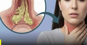 645281294 931080549301625 3174668094789103454 n 768x960