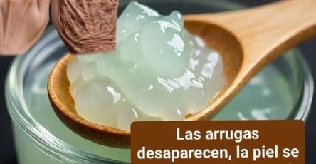 645726847 1475273330782692 962359551425495674 n