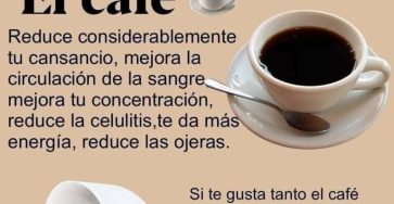 645946984 1423611405921201 2848048546942915423 n 768x878