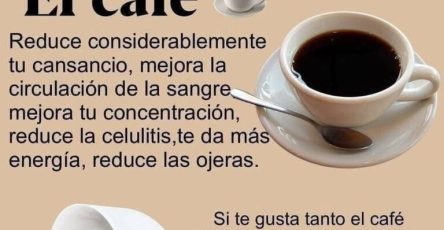 645946984 1423611405921201 2848048546942915423 n 768x878