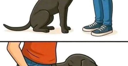 646270695 122233317398106570 6506757519481865332 n