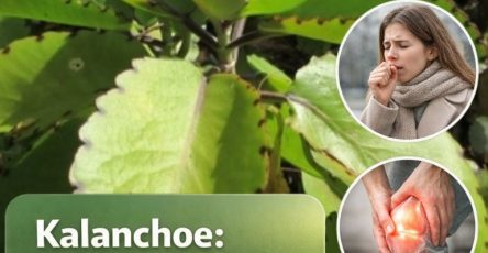 646367719 947824121152249 4623639424786439025 n 768x960