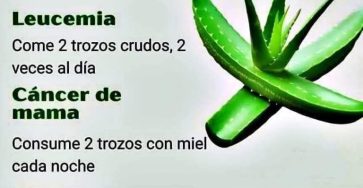 646872930 1474927564428251 2733722365044491269 n 768x961