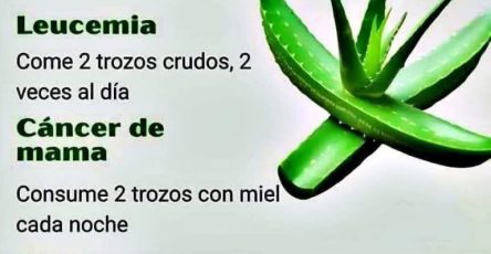 646872930 1474927564428251 2733722365044491269 n 768x961